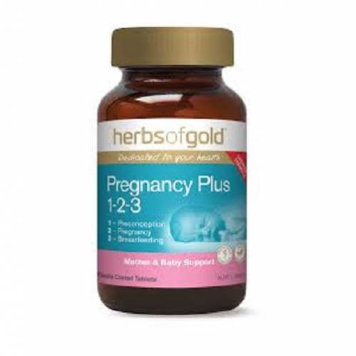 PREGNANCY  PLUS 1-2-3